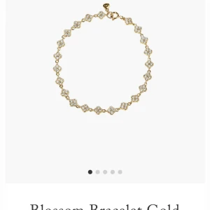 Blossom Armband Guld - Elegant guldarmband med blommönster och gnistrande detaljer från ANI. Perfekt för att ge en touch av lyx till din stil. Levereras i en stilren förpackning. Helt oanvänd. Ny pris 1400 säljer för 700