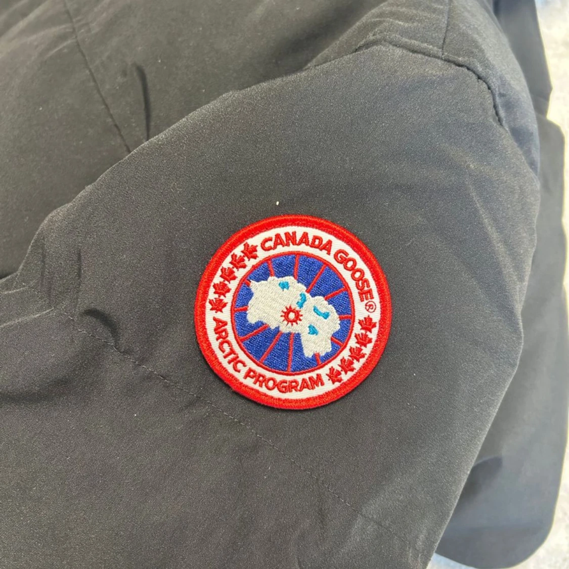  Canada Goose - 3
