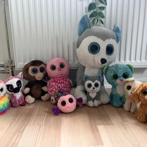 ty beanie - ty beanie boos!  pris kan diskuteras! 