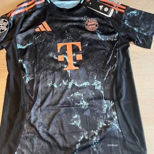 Musiala  - Musiala 2024