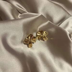 Örhängen  - Superfina örhängen!✨