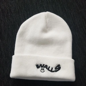 Louis Tomlinson mössa - Mössa köpt från louis tomlinson merch, helt oanvänd och äkta