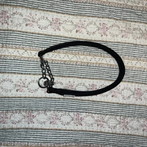 Svart hund halsband  - Svart hund halsband från Ullared. 