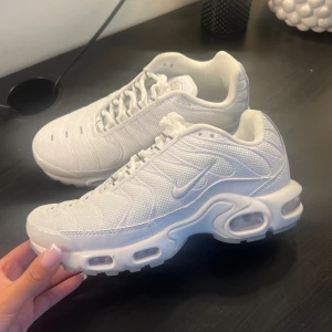 Nike airmax plus  - Säljer dessa skor då dem är lite för små för mig. Dem är i storlek 38 men skulle säga att dem passar 37-37,5. Dem är använda en gång och är därför i fint skick.