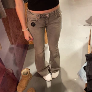 Grå bootcut jeans - Snygga grå bootcut jeans med låg midja. Splitternya från Weekday i storlek 26/32