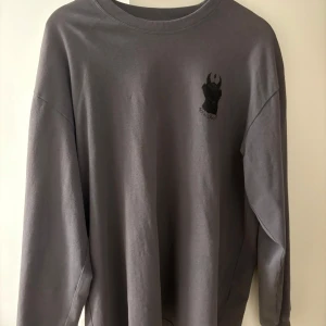 Grå long sleeve polar skate co - Snygg grå long sleeve med perfekt skick. Jag tror att det passar typ skate style