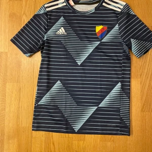 Djurgården träningströja 164 - Snygg dif tröja perfekt för fotboll. Använd endast ett fåtal gånger och är i jättebra skick. 164cm