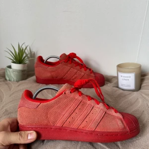 Adidas Superstar RT Red Suede Trippel red - Adidas Superstar RT Red Suede Trippel red  Size: 38 Condition: Very good  All defects are Always shown in the pictures if there are any!! Questions? Feel free to ask!  Checkout my account for more shoes, you might find a gem you size‼️
