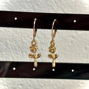 Örhängen  - Fina örhängen✨