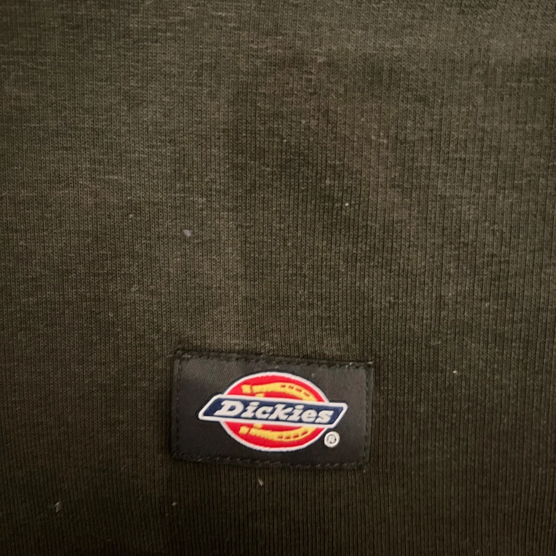 Olivgrön hoodie från Dickies - 1