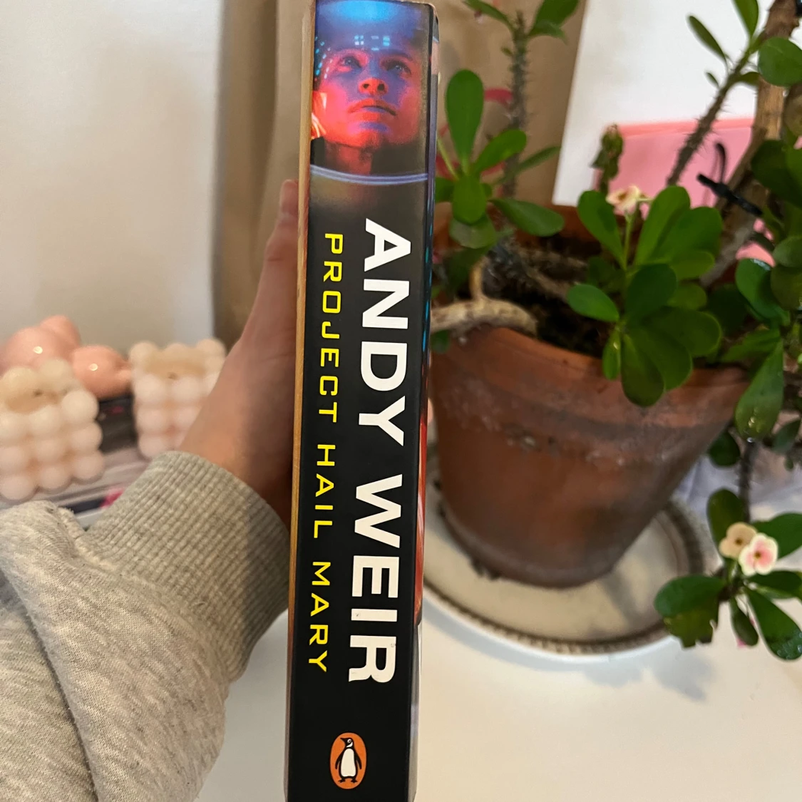 Project hail mary bok - 90