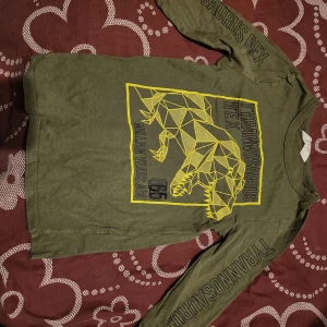 Grön långärmad tröja med dinosaurietryck - Cool grön långärmad tröja med ett geometriskt dinosaurietryck i gult. Texten 'Tyrannosaurus Rex' pryder både framsidan och ärmarna. Perfekt för dinosaurieälskare!