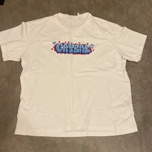 weekday tshirt - så cool oversize fit tisha ifrån weekday! storlek står det s, men funkar antagligen m och l också. super skick!