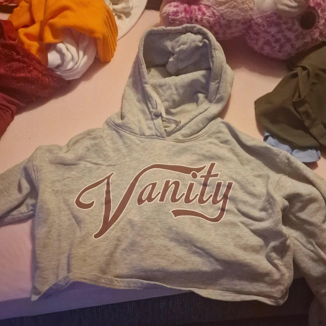 Grå croppad hoodie med texten 'Vanity'
