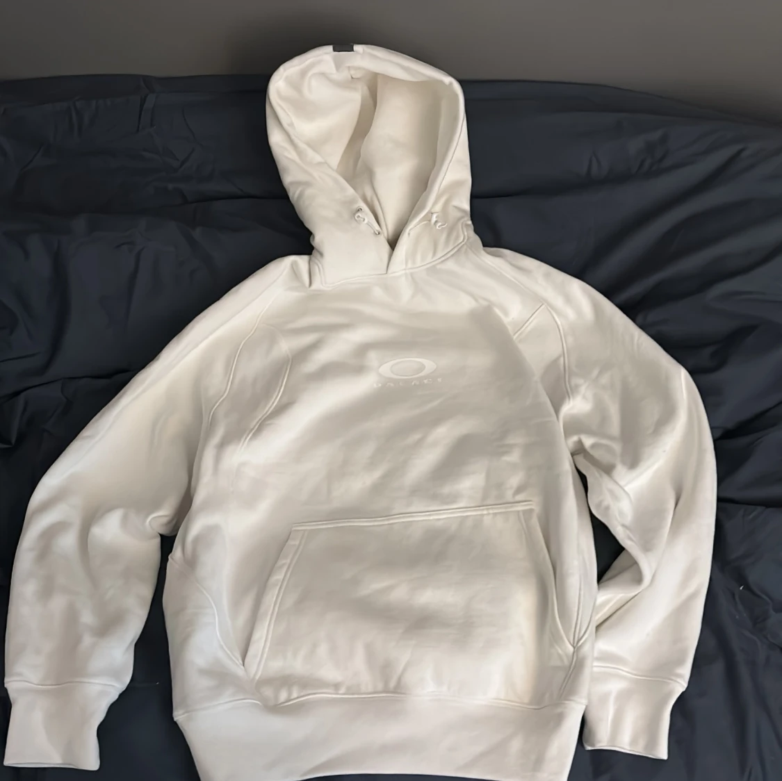 Palace x Oakley hoodie vit fw 24