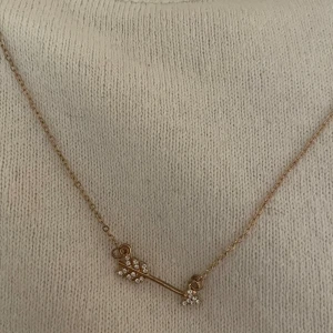 Guld halsband  - Säljer ett tunt guldfärgat halsband med ett pil-hänge dekorerat med små glittrande stenar. Kedjan är finlänkad och har justerbar längd. Knappt använt! Från Ur&Penn köpt förra året. 