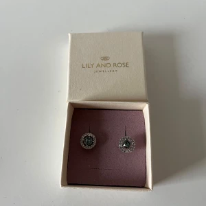 Glittriga örhängen från Lily and Rose - Snygga örhängen från Lily and Rose med rund form. De har en glittrig silverram och en ljusblå sten i mitten som ger en lyxig känsla. 