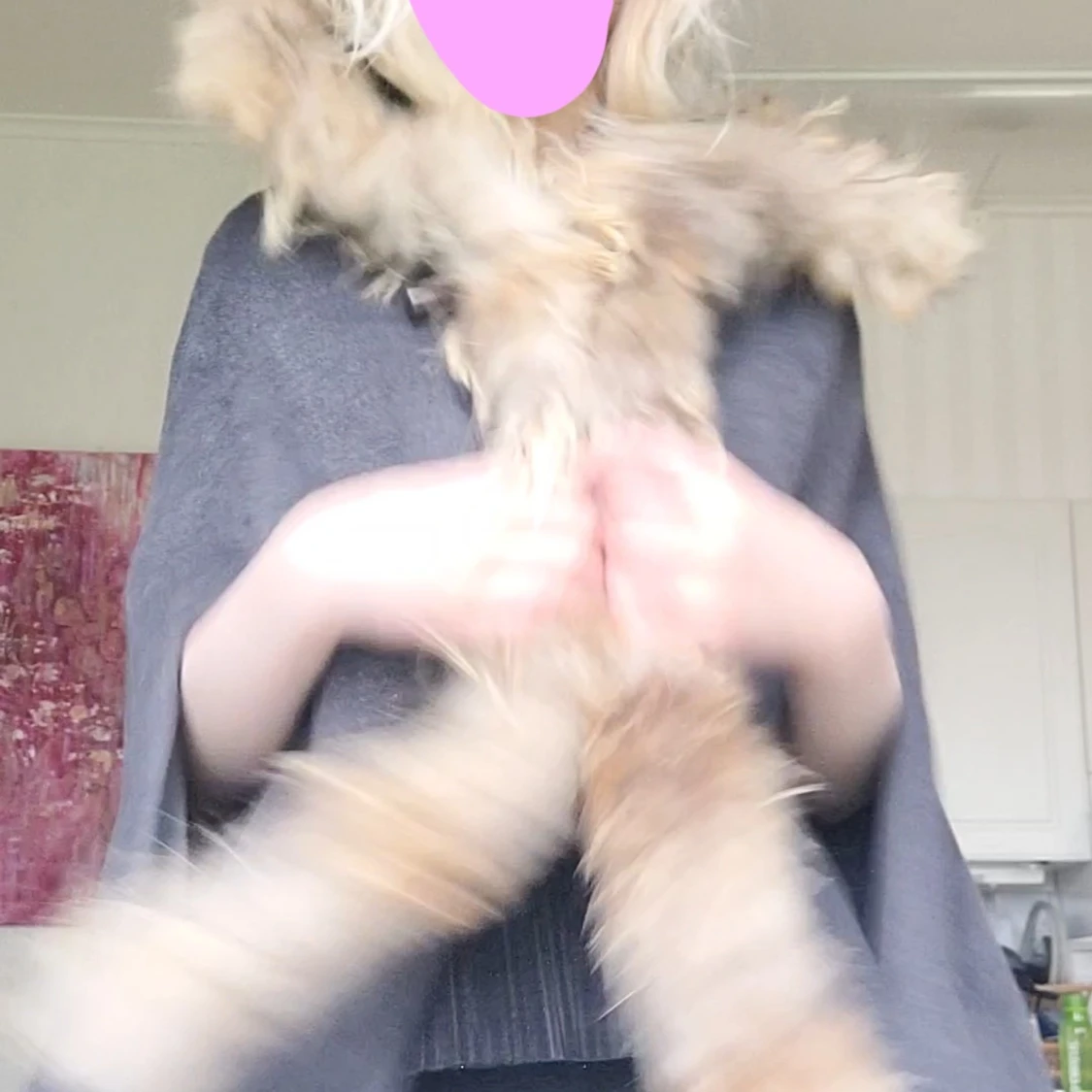 Grå cape med pälskanter - 2