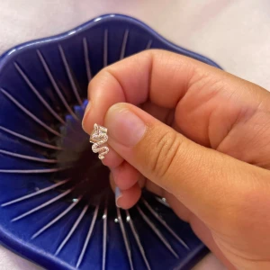 Silvriga ormörhängen med stenar - Säljer ett par coola silvriga örhängen i form av ormar, dekorerade med små glittrande stenar. Perfekta för dig som vill sticka ut med ett unikt och trendigt smycke. Snygg detalj till din outfit! Hela nya aldrig andvända