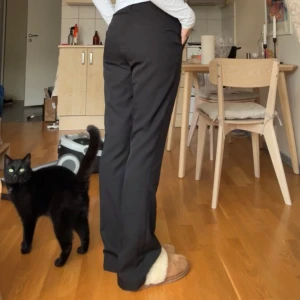 Svarta Vilma kostymbyxor från BikBok - Klassiska svarta kostymbyxor från BikBok i rak modell med pressveck och diskreta bakfickor. Byxorna har midjehällor och stängs med knapp och dragkedja. Perfekta för en clean och stilren look. Original pris 499kr.