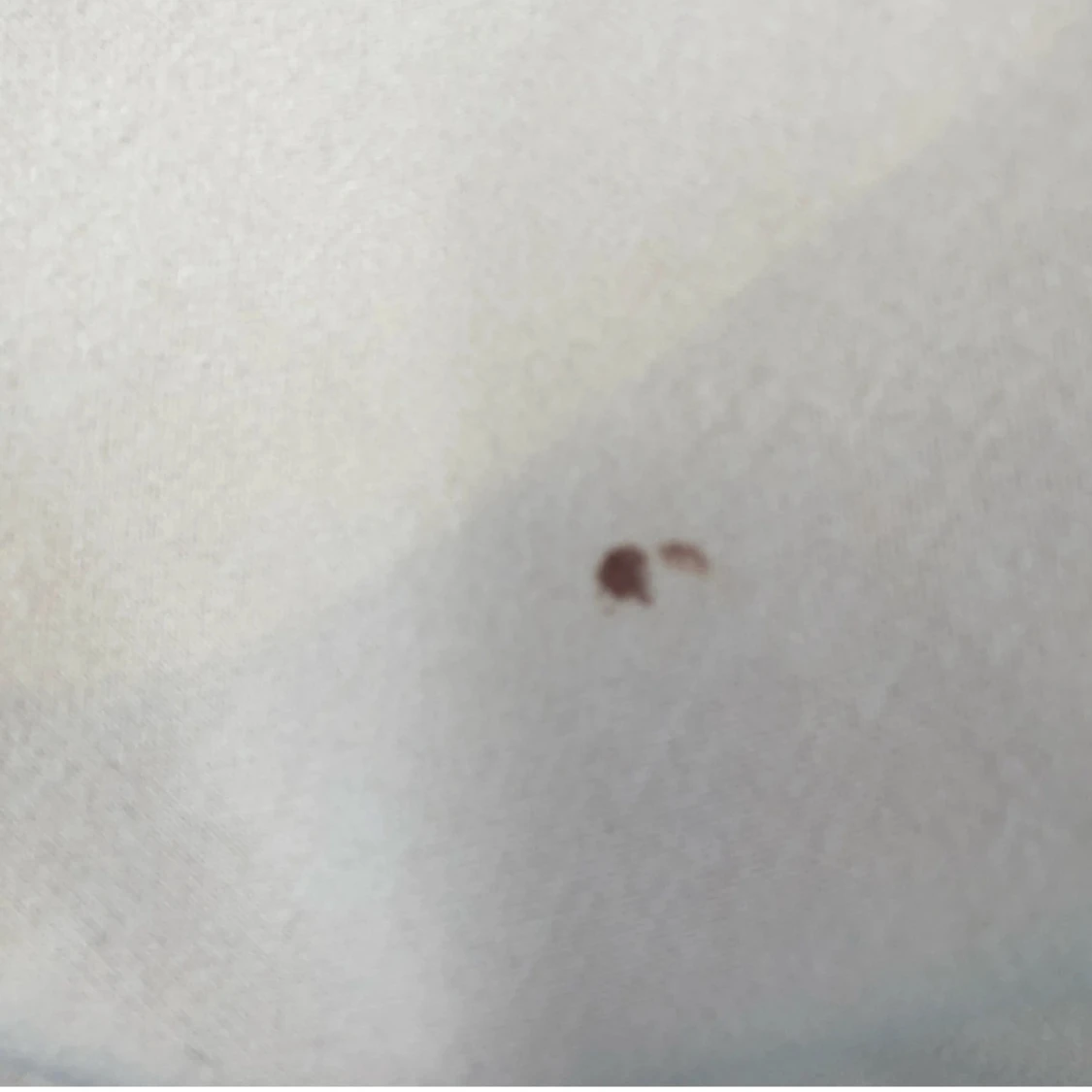 Beige kappa med bälte från Amisu - 4