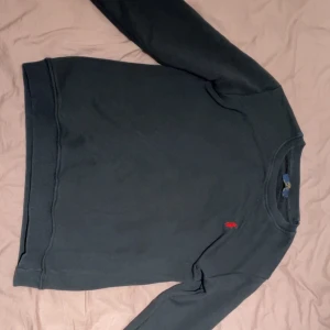 Ralph Lauren tröja - Fin tröja, funkar bra till alla säsonger! Viktigt att nämna att den inte är faktiskt från ralph lauren om ni vet vad jag menar. 