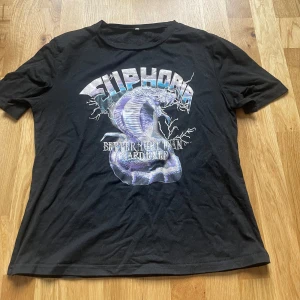 Svart t-shirt med kobramotiv och text - Cool svart t-shirt med ett stort tryck av en kobra och texten 'EUPHORIA' samt 'BETTER THAN HARDCORE' på bröstet. T-shirten har rund hals och korta ärmar. Perfekt för dig som gillar statement-plagg och unika tryck.