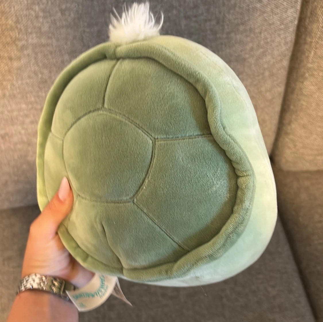 TURTLE SQUISHMALLOW💚 - 4
