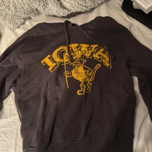grå brun Svart ish  hoodie med gult tryck - Säljer en svart hoodie med ett coolt gult tryck av en tecknad figur och texten 'Iowa'. Perfekt för en avslappnad stil. Hoodien har en klassisk passform med dragsko i huvan.
