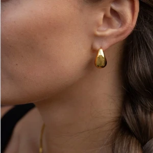 Midi drop Earring från muli collection  - Ett par drop örhängen som jag fått som är från   muli collection, aldrig använda den eftersom jag använder silver smycken!! Köpta för 499kr 