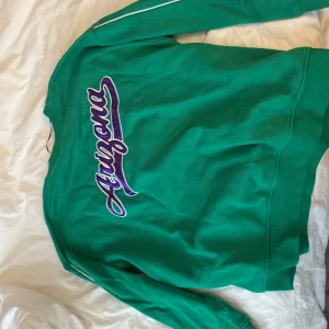 Grön sweatshirt från H&M Divided med Arizona-tryck - Säljer en grön sweatshirt från H&M Divided med stort Arizona-tryck i lila och vitt. Tröjan har rund hals och långa ärmar, perfekt för en avslappnad stil.