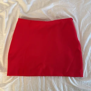 Mini kjol - Säljer en snygg röd kortkjol från Zara. Kjolen har en enkel och stilren design med dragkedja i sidan. Perfekt för dig som vill ha en färgklick i garderoben. Materialet känns mjukt och följsamt. Skriv via funderingar och mer bilder💕