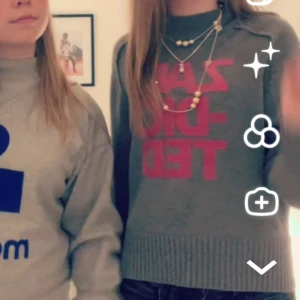 Zadig tröja -  Tröjan har en klassisk passform, ribbade muddar och lång ärm. Perfekt för dig som gillar en enkel men ändå statement look.