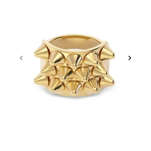 Guldig nit Edblad ring - Säljer min fina Edblad ring, då jag har för mycket ringar och inte har användning för den. Använd vid några tillfällen men i bra skick❤️Skriv för mer bilder! Bra pris, nypris- 400, mitt pris- 199
