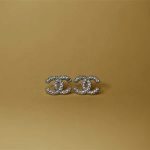 Örhängen  - Rostfritt stål i obruten förpackning 