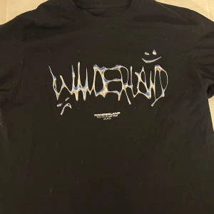 Svart ANTWAN T-shirt  - Antwan merch från albumet wanderland. Har ett blåvitt, droppformat logotyp-tryck och text, medan baksidan har ett stort färgglatt motiv med graffiti-vibe och namn på alla låtar från albumet. Inga tydliga slitage.