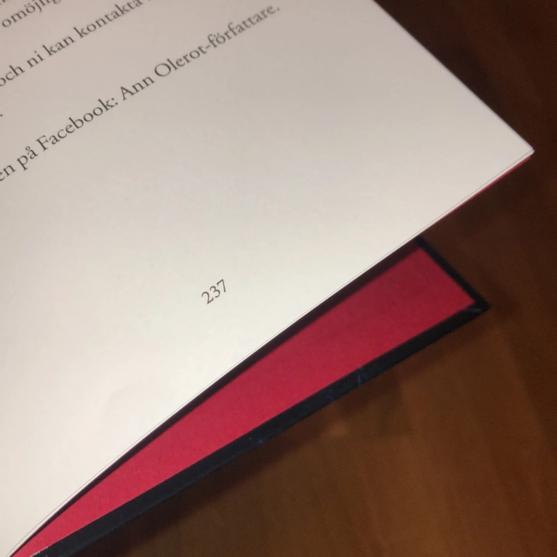 SPÖKFLICKANS HEMLIGHET - 91