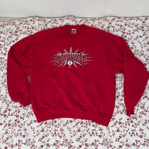Vintage sweatshirt i strl L (kan användas som en oversize 🥰) från en thriftstore i USA 🤩🤩 inga repor eller sånt 10/10 💜 gratis frakt!!. Startbud: 200kr (höj med minst 10kr💜) ledande bud:330kr