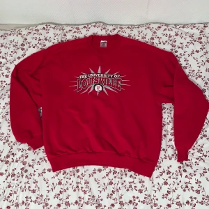 Sweatshirt  - Vintage sweatshirt i strl L (kan användas som en oversize 🥰) från en thriftstore i USA 🤩🤩 inga repor eller sånt 10/10 💜 gratis frakt!!. Startbud: 200kr (höj med minst 10kr💜) ledande bud:330kr