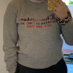 Champion sweatshirt  - Köpt i usa. Frakt tillkommer på 60kr