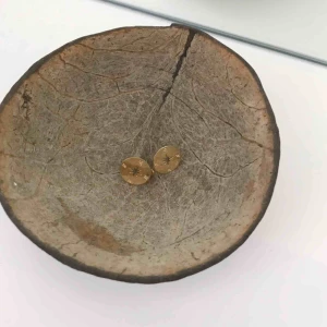  - Guldiga örhängen från H&M, lite kompassinspirerade! Aldrig använda. Frakt ingår!