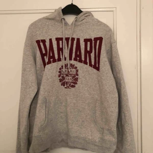  - Grå hoddie från H&M men Harvard logan på.