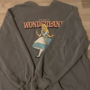 Sweatshirt Strl M - Säljer denna då den aldrig kommer till användning! Vid intresse kan jag skicka fler bilder och pris kan diskuteras🤍