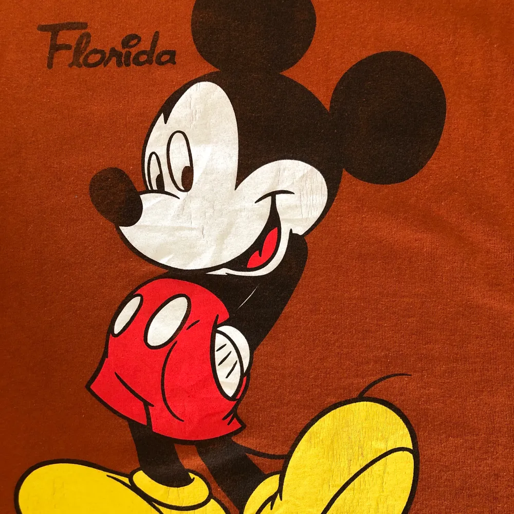 Säljer denna otroligt feta Disney T-shirten från 90-talet från Disneyland i Florida. Den är i bra vintage skick, trycket är dock något slitet. Den är Storlek M men skulle säga att snarare passar S. Det är bara att skriva om ni undrar något, läs gärna bio innan dock!!🌎✌🏻🧡. T-shirts.