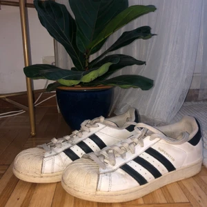 Adidas all stars - säljer mina adidas som jag inte alls använder längre men annars i bra skick. hittar tyvärr inte kartongen till skorna☹️
