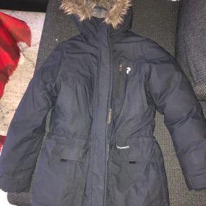 Vinterjacka Peak Performance  - Vinterjacka från Peak Performance i fint skick, äldre modell. Frakt tillkommer. 