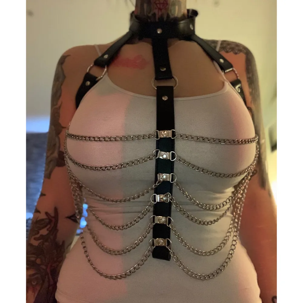 Cool oanvänd harness! Har ett helt vanligt knäppe som ett bälte i svanken, onesize. Den är robust och i bra kvalite. Finns i Kungsbacka men kan skickas mot betald frakt!. Accessoarer.