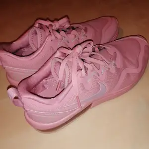 Helt nya oanvända Nike skor, storlek 40.5     26 cm. Jag fick de som present men de var för små. Köparen står för frakt. 