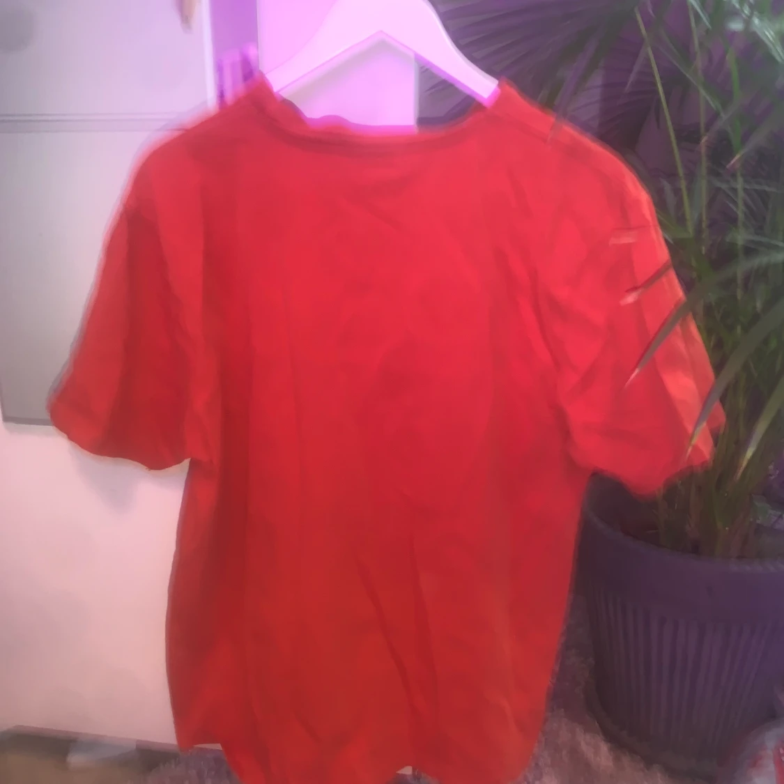 Dickies t-shirt  - 90