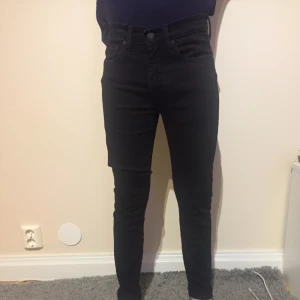  - Inköpspris: 1000kr från Levis 